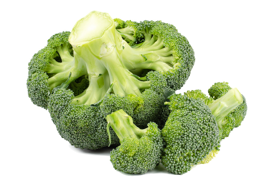 야생에서 채취를 한 브로콜리를 깨끗하게 세척을 한 후에 하얀 바닥 위에 큰 것 1송이와 작은 것 3~4송이를 놓아두고 찍은 사진