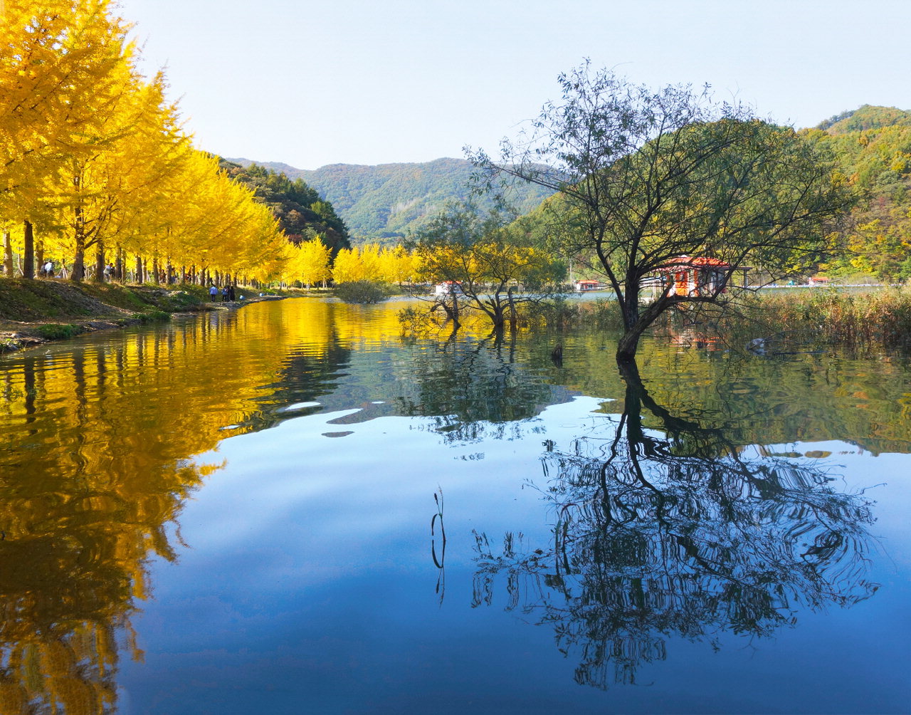 2022 단풍시기 명소 가을 여행지 BEST 7 추천 정리 화담숲 선운사 단풍터널 포함