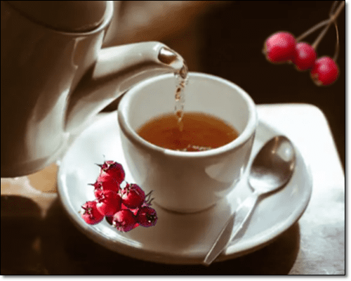 산사나무 열매 먹는 법과 주의점