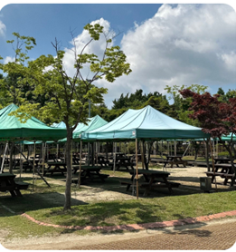 캠핑장 피크존이미지
출처: 인천대공원 캠핑장 홈페이지