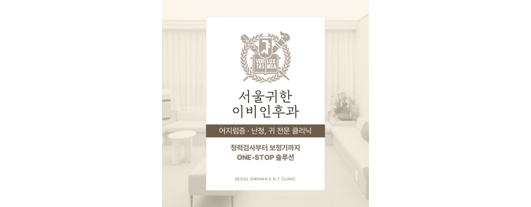 서울 종로구 이비인후과