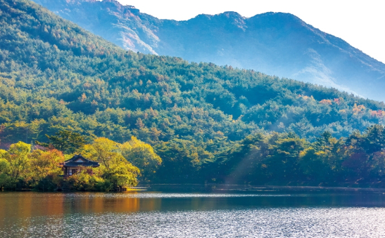 밀양 반값 여행 지원금 신청방법