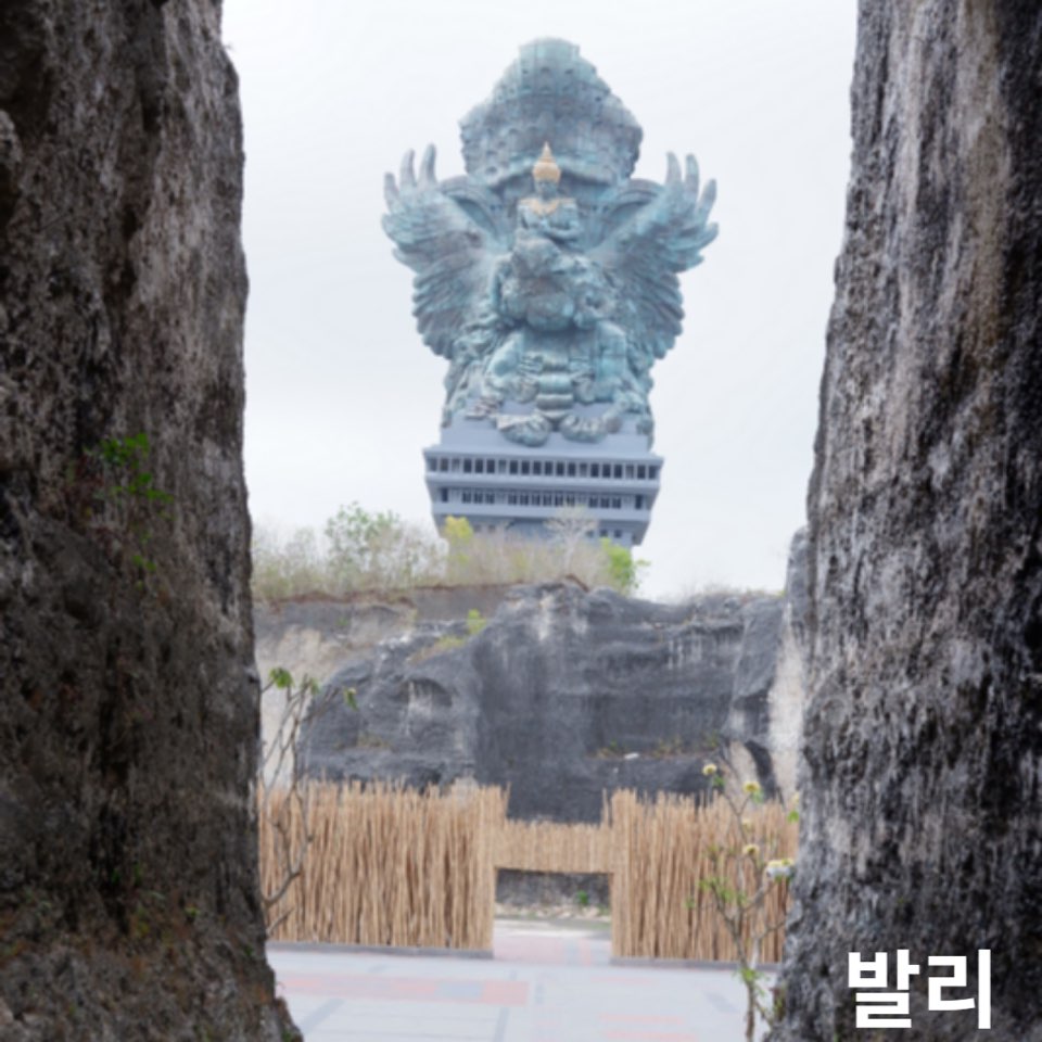 9월아기발리