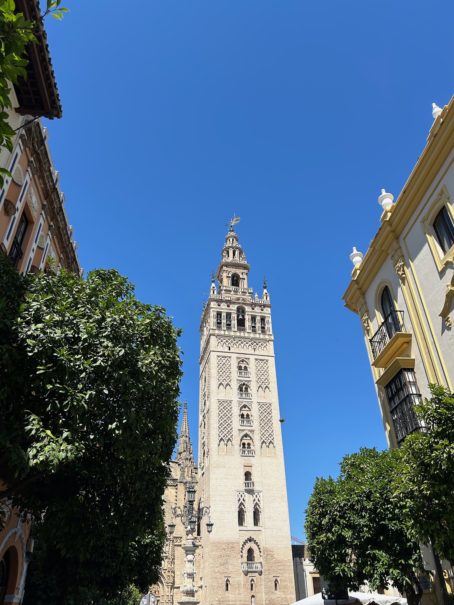 세비야대성당 사진