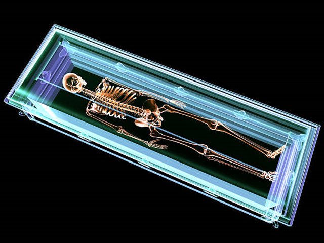 수목장 그 이상: 생명을 재탄생시키는 바이오 장례 기술