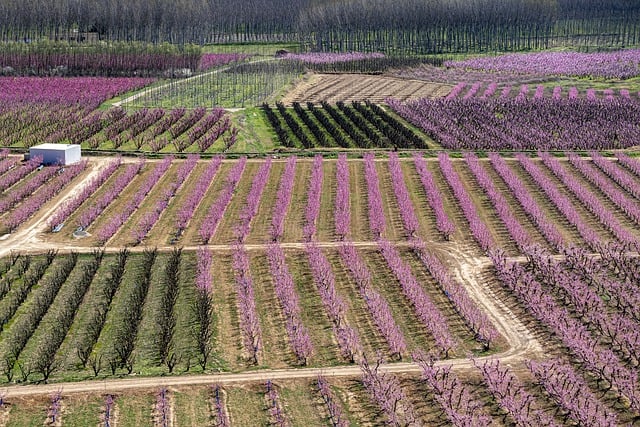 NMN 영양제 BEST 5 &ndash; 저속노화 인기 제품 추천