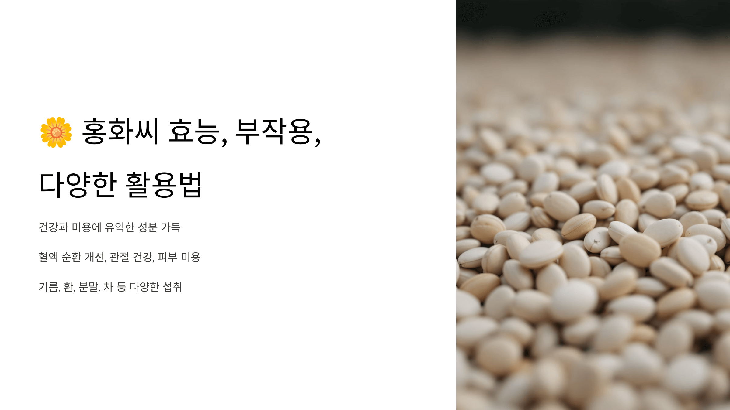 홍화씨 사진입니다.