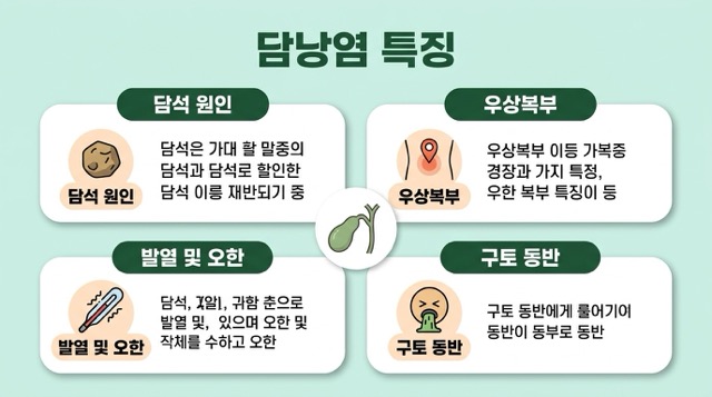 담낭염 특징 담석 염증 오른쪽 윗배 통증 열 오한