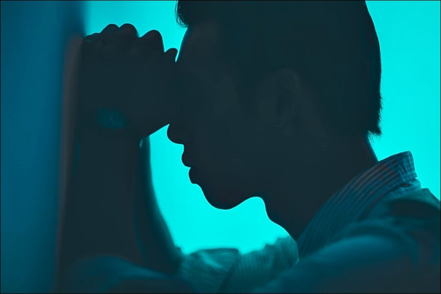 블루베리 효능 10가지