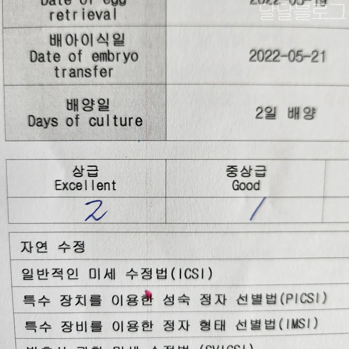 시험관-신선-이식-2일-배아