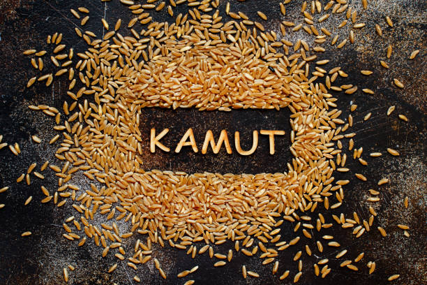 카무트효소 효능1