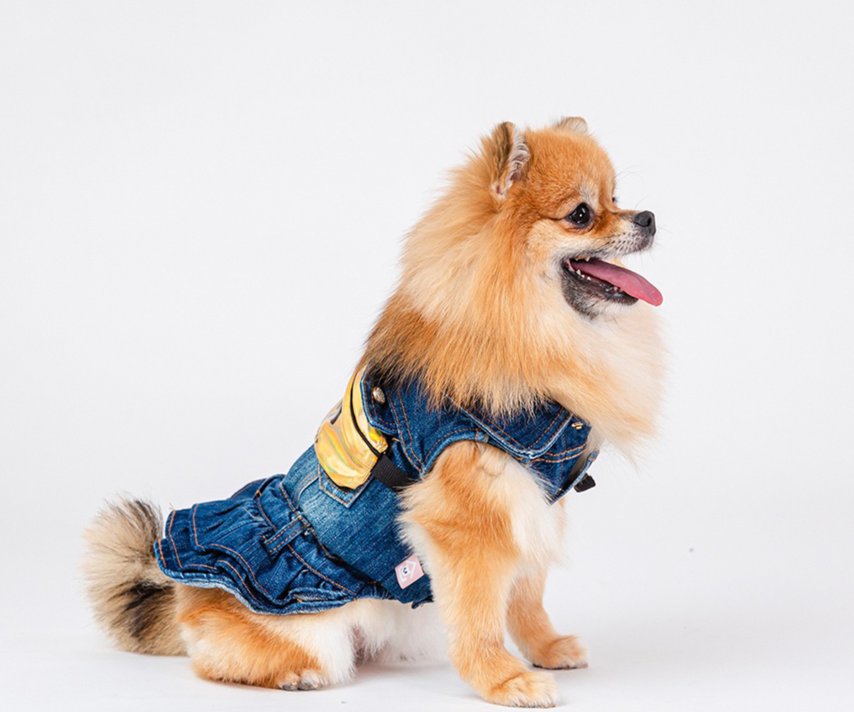 청스커트가 제일 잘 어울리는 포메라니안 영자
5세 때