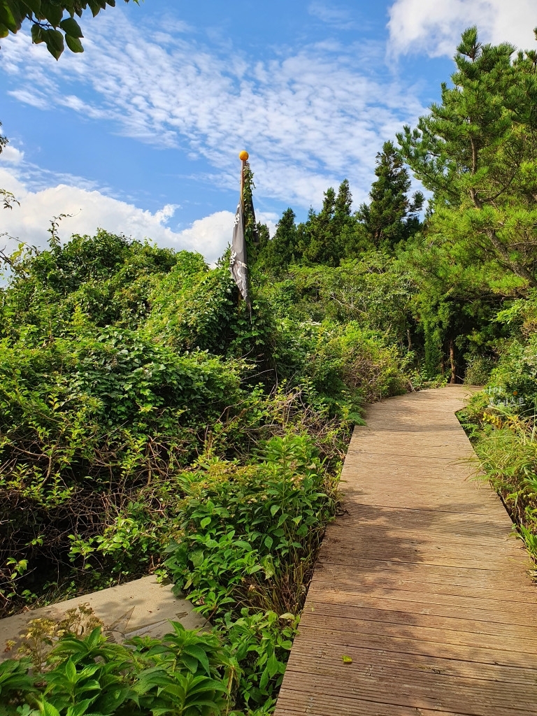 거문오름 정상 부근