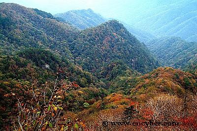 치악산