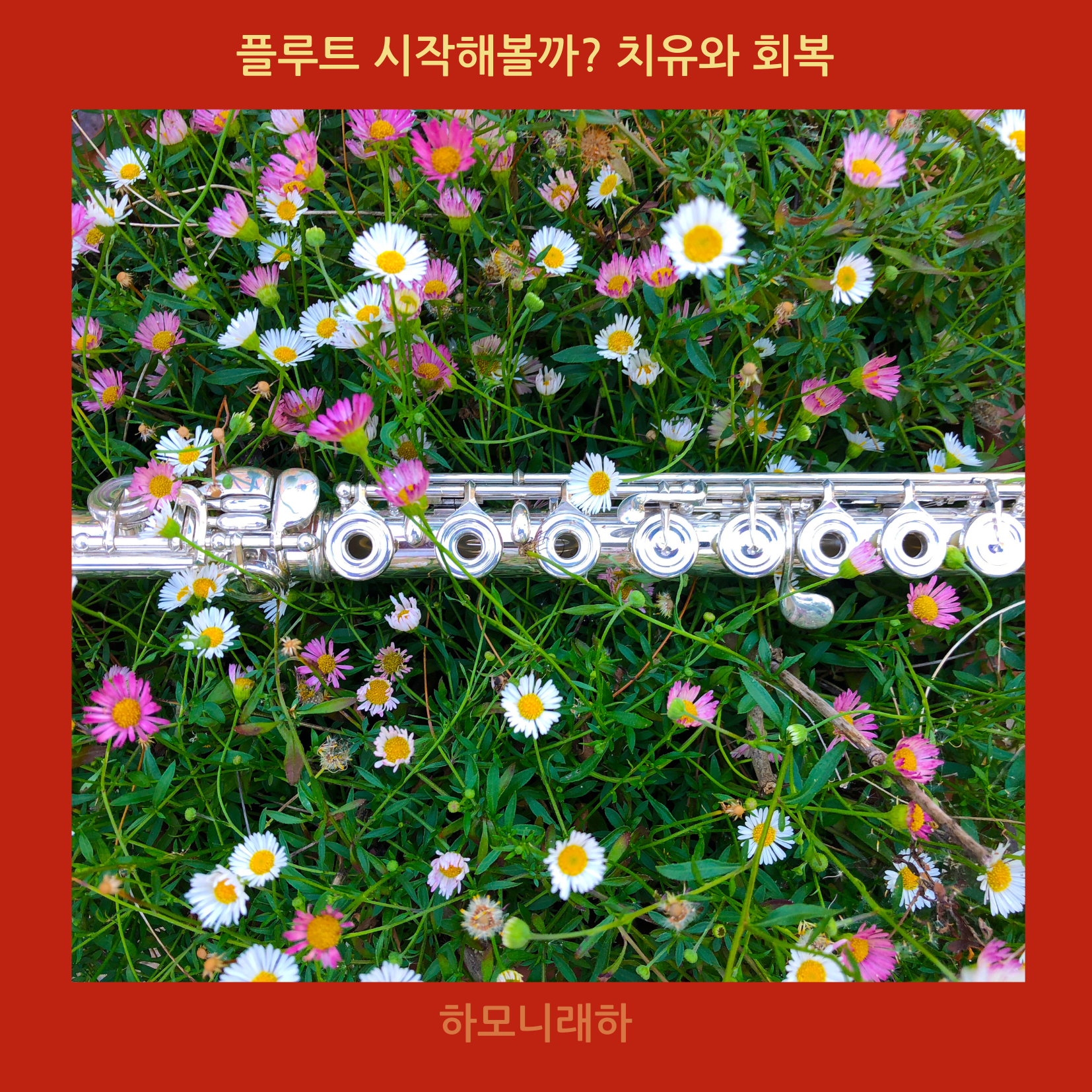 악기 플루트 치유와 회복을 위한 초보자 입문 팁