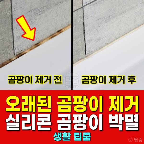 오래된 곰팡이 제거 욕실 실리콘 곰팡이 제거 방법