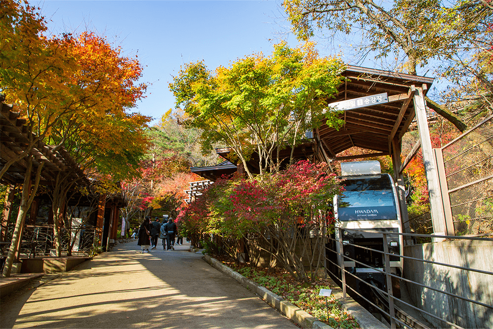 화담숲 예약 100% 성공하는 꿀팁