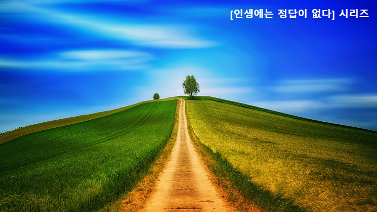나는 왜 혼자 결론 내리고 상처받았을까, 인생에는 정답이 없다 시리즈 2편