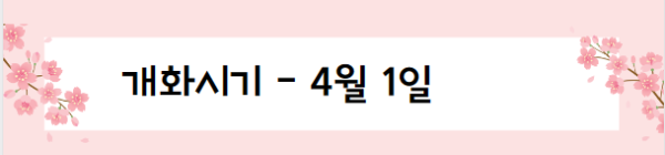 봄꽃 여행지