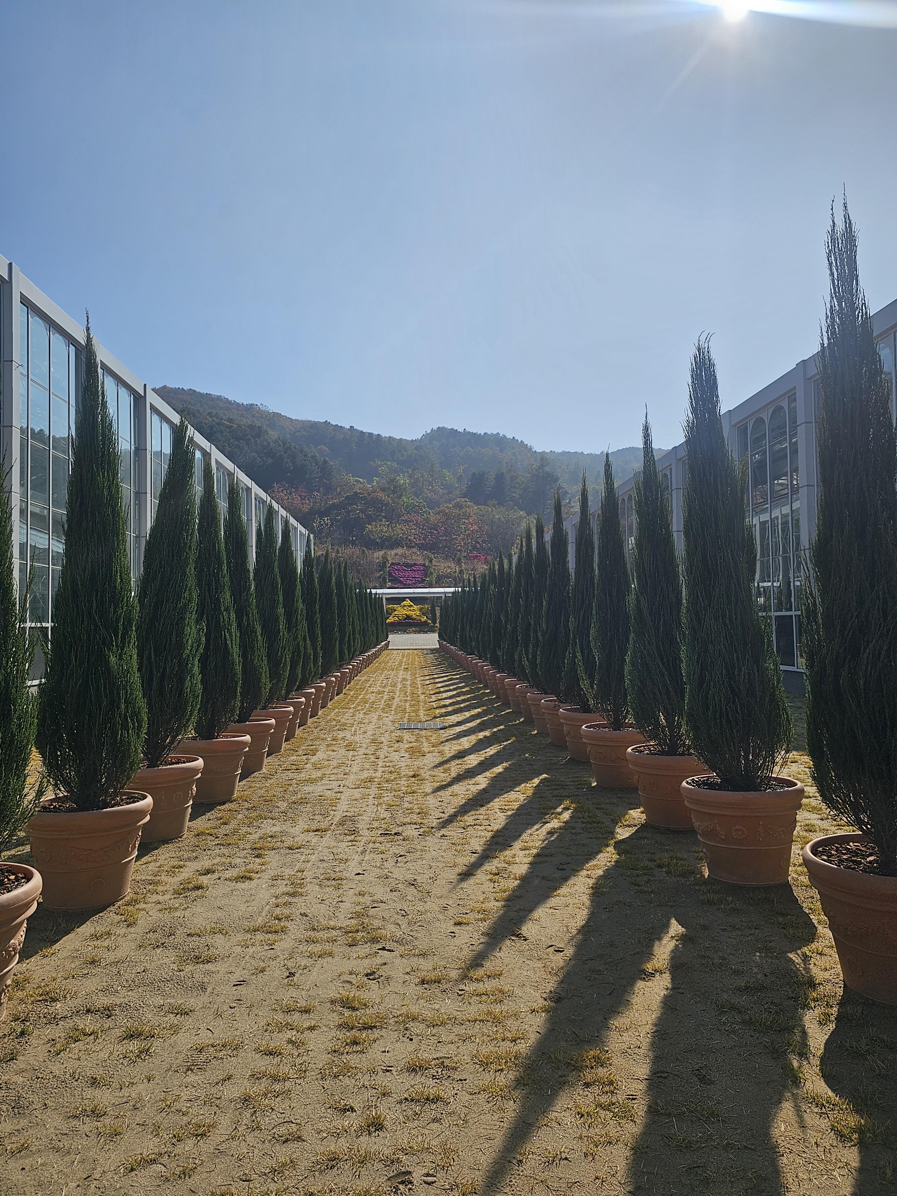 좌측_버드존/우측_플라워존