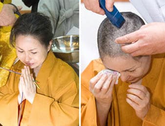 대도조세형전부인이은경