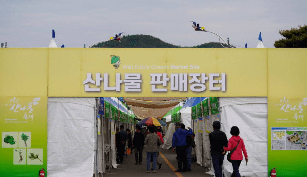 5월 여행하기 좋은 경상북도, 축제 일정 가볼만한 곳 추천