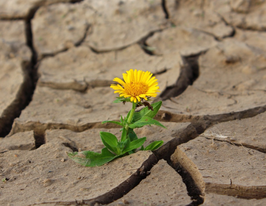 대장암 초기증상 몸이 보내는 신호 알아보기7