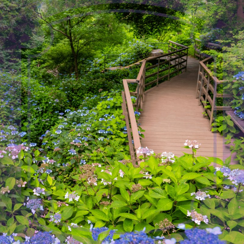 화담숲 예약방법