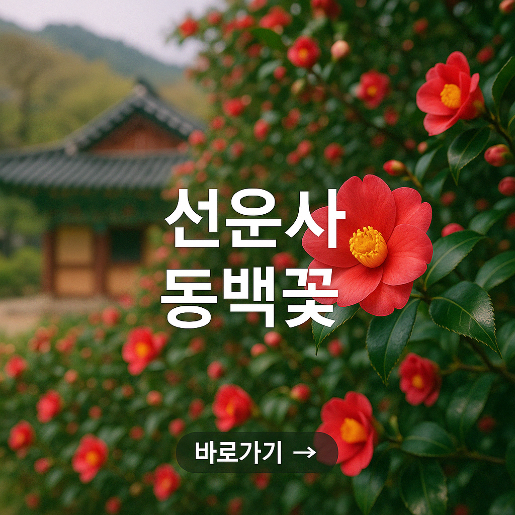 선운사 동백꽃 피는 시기