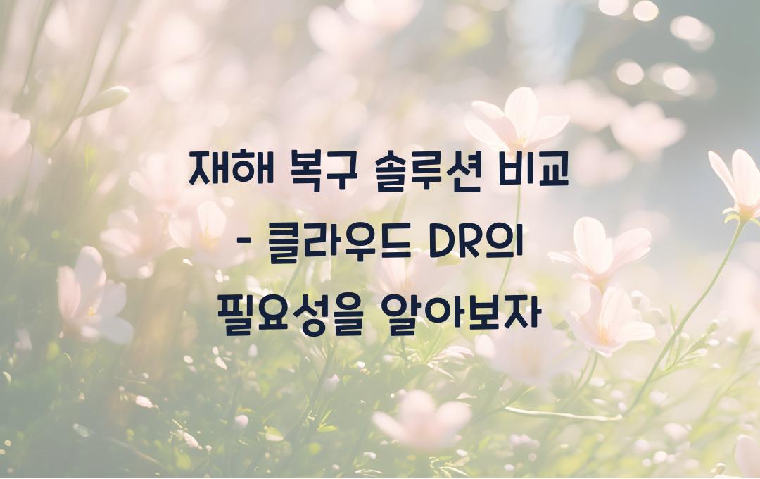 재해 복구 솔루션 비교 – 클라우드 기반 DR이 필수인 이유