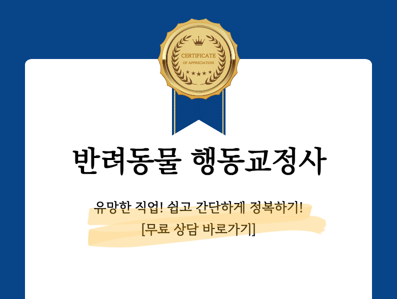 반려동물행동교정사 자격증 예시