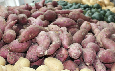 고구마 찌는법, 고구마 삶는법, 고구마 칼로리