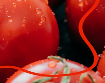 지방간에 좋은 음식 10