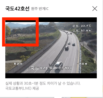 반계리 은행나무 실시간4