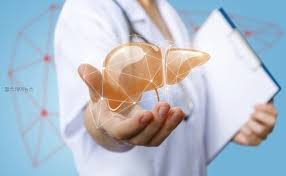 간이 나쁘면 나타나는 증상 간경화 초기증상, 치료법