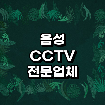 음성군 cctv