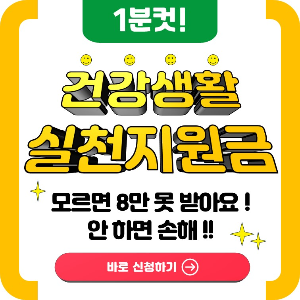 건강생활실천지원금제