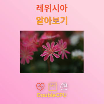 레위시아 꽃말 및 탐구