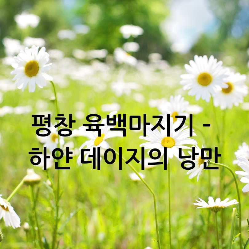 6월 국내여행지 베스트 10