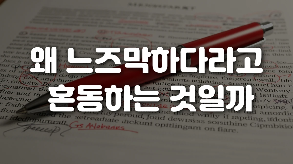 왜 느즈막하다라고 혼동하는 것일까