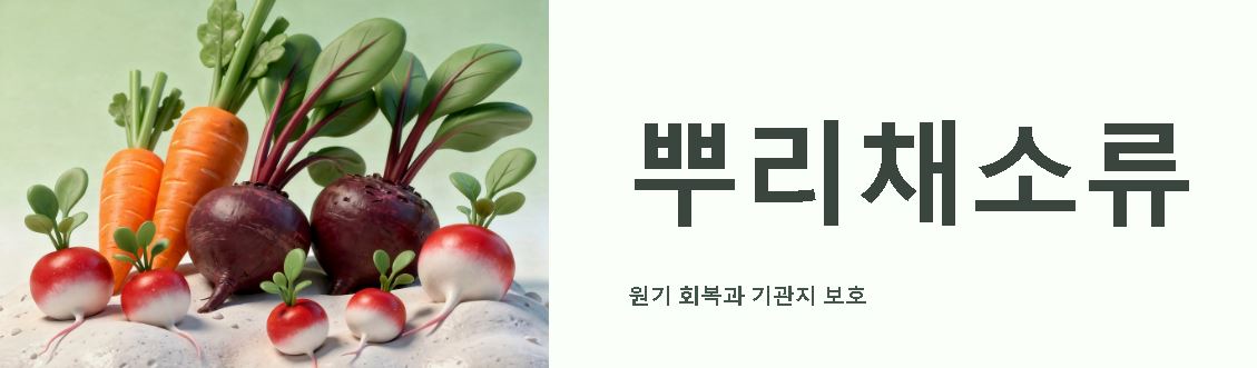 채소 종류 100가지