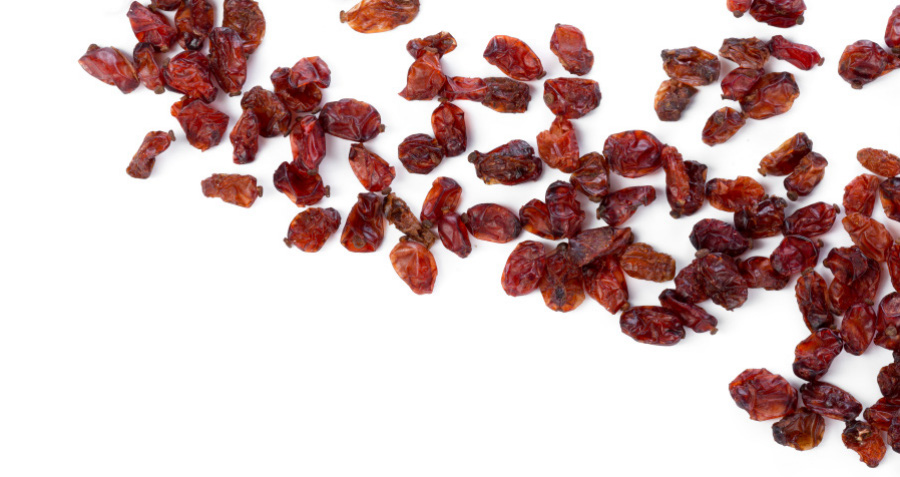 야생에서 채취를 한 산수유 열매를 깨끗하게 세척을 한 후에 씨를 빼고 말린 것을 하얀 바닥 위에 여러 개 흩어놓고 찍은 사진