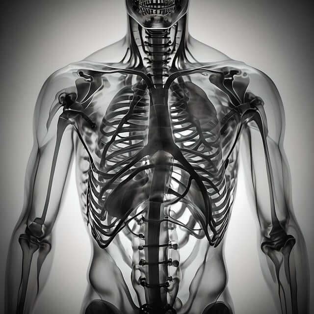 마이코플라즈마 폐렴 전염