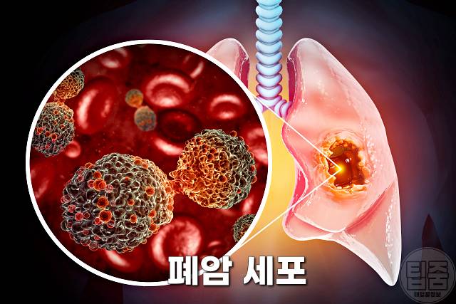 쑥 효능 항암 쑥요리 말린쑥 쑥버무리