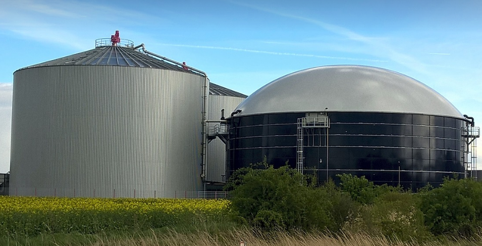 폐기물에서 단백질로: 음식물 쓰레기를 재활용한 단백질 생산