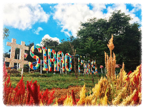 시라오 플라워 가든