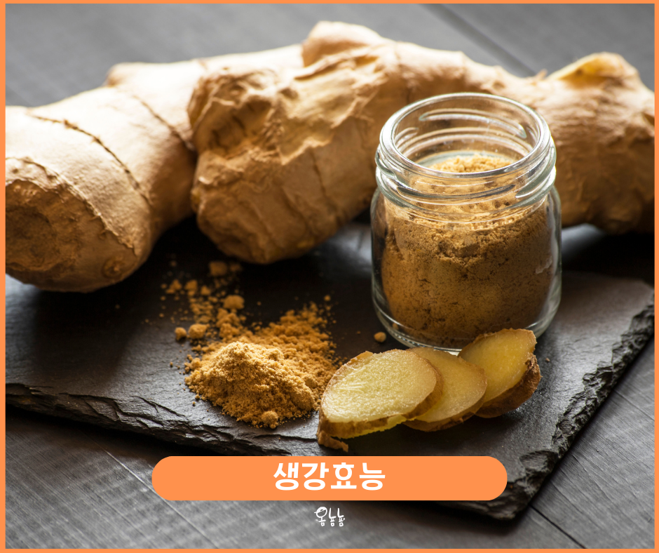 생강효능