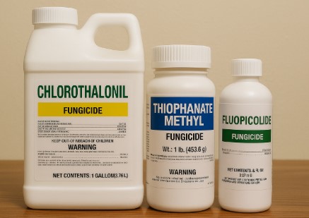 식물 살균제 3가지 사진