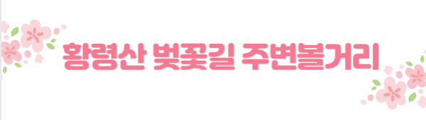 봄꽃 여행지