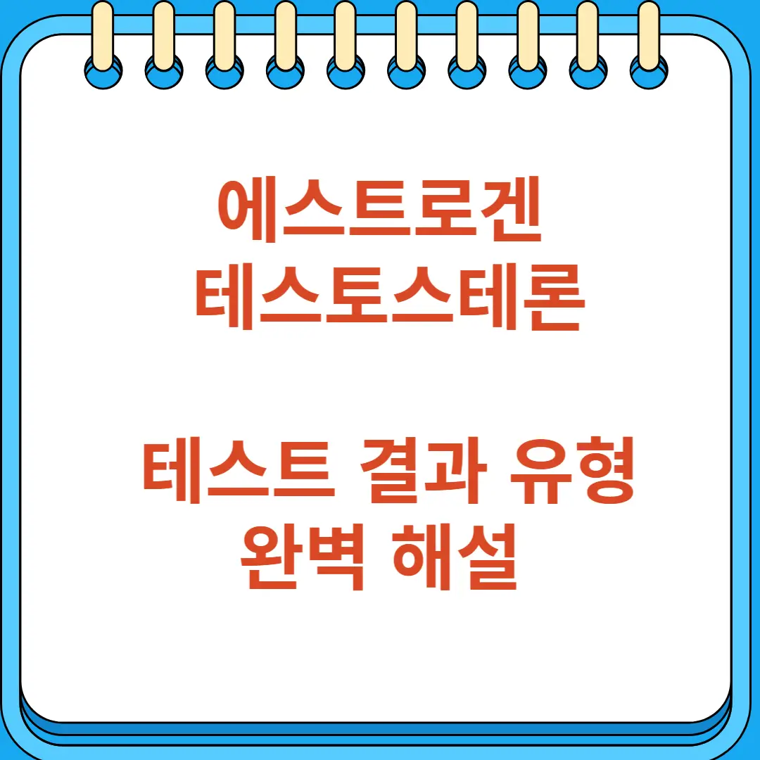 에스트로겐 테스토스테론 테스트 결과 유형 완벽 해설